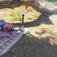 گمشده قلیان