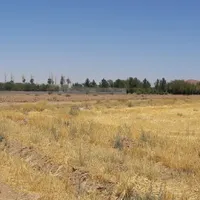 زمین کشاورزی و مجوز برای دامداری مرغداری  گلخانه