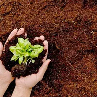 خاک باغچه ،عالی|خدمات باغبانی و درختکاری|قزوین, |دیوار