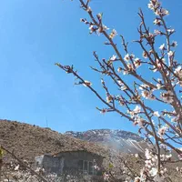 ۰۹۱۳۱۰۰۷۰۹۰