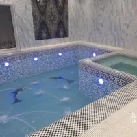 مجری استخر ، سونا ، جکوزی ، تاسیسات