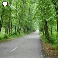 اجاره سوئیت روزانه و هفتگی|اجارهٔ کوتاهمدت آپارتمان و سوئیت|کیاشهر, |دیوار