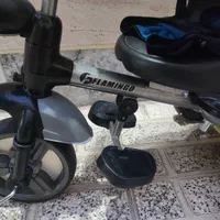 سه چرخه فلامینگو در حد