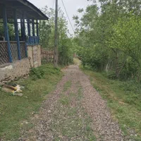 این زمین باغ با چشم انداز بی نظیر ویوی ۳۶۰ درجه|فروش زمین و ملک کلنگی|لاهیجان, آهندان|دیوار