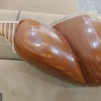 تار حرفه ای طهرانی