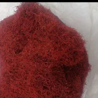 پخش عمده پولبیبرفلفل ترکیه ای پودرانبه وخردل وغیره|خوردنی و آشامیدنی|تهران, شهرک استقلال|دیوار