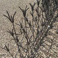 حفاظ ایمن نرده ارتفاع بلند|مصالح و تجهیزات ساختمان|شیراز, دوکوهک|دیوار