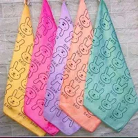 دستمال آشپزخانه خرگوشی