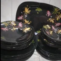 ظروف پذیرایی شیک
