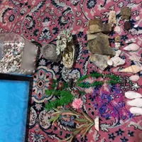 اکواریوم و وسایل کامل نو|ماهی|بومهن, |دیوار