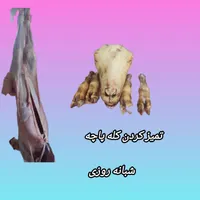 قصاب وذبح گوسفند وتمیز کردن کله پاچه شبانه روزی|خدمات پذیرایی، مراسم|اصفهان, ملک‌شهر|دیوار