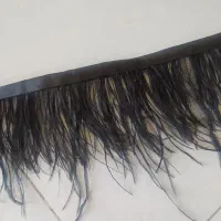 پرسوزنی