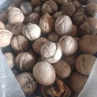 خرید و فروش  خشکبار|خوردنی و آشامیدنی|تهران, مسعودیه|دیوار