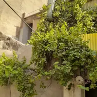خانه حیاط دار|اجارهٔ خانه و ویلا|تهران, امام زاده حسن|دیوار