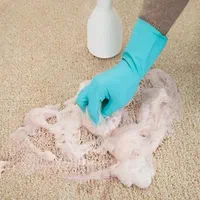 شامپو فرش|مواد شوینده و دستمال کاغذی|کوهدشت, |دیوار