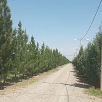باغ1100مترسند۳۰۰م زیرقیمت،سهیلیه،زعفرانیه،کامرانیه|فروش زمین و ملک کلنگی|کرج, فاز ۲ مهرشهر|دیوار