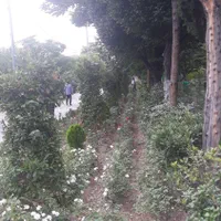 کارگر خدماتی آقا و خانه دار خانم جهت هتل|استخدام سرایداری و نظافت|تهران, فلسطین (میدان انقلاب)|دیوار
