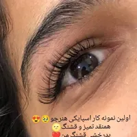 اموزش اکستنشن مژه ب همراه لیفت و لمینت مژه و ابرو|خدمات آموزشی|ایرانشهر, |دیوار