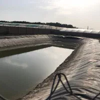 فروش گلخانه27432متری امیتازات کامل سند6دانگ ورامین|فروش دفتر صنعتی، کشاورزی، تجاری|ورامین, |دیوار