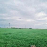 ده هزار مترمربع زمین کشاورزی باغی