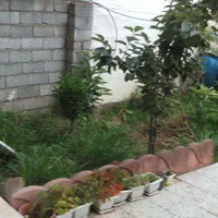 ویلای دوخوابه شخصی تمیز ونوساز بدون واسطه|اجارهٔ کوتاه‌مدت ویلا و باغ|چالوس, |دیوار