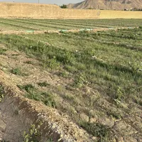 فروش زمین|فروش زمین و ملک کلنگی|اصفهان, گورت|دیوار