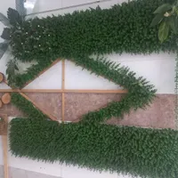 طرح دکوری گیاه روی دیوار