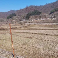 فروش زمین شالیزار ۶۰۰۰ متری|فروش زمین و ملک کلنگی|لیسار, |دیوار