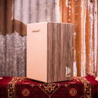 کاخن اشلاگورک cp150