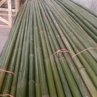 فروش چوب بامبو ۳ و ۴و ۵ متری قطر ۲و ۳ سانت|گل و گیاه طبیعی|اسلامشهر, ده عباس|دیوار