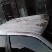 نقاشی وصافکاری اتومبیل و خودرو های به روز ومدرن|خدمات موتور و ماشین|شیراز, دباغ خانه|دیوار