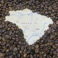 قهوه گلد برزیل، هند، اکوادور|خوردنی و آشامیدنی|مشهد, امیریه|دیوار