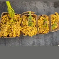 خارک برحی|خوردنی و آشامیدنی|شیراز, دروازه اصفهان|دیوار