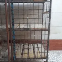 قفس پرنده