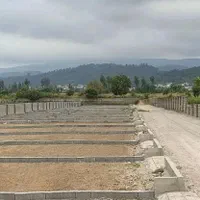 200مترزمین ویوجنگل 400م اقساطی زیرقیمت شهرکی تهاتر|فروش زمین و ملک کلنگی|آمل, |دیوار