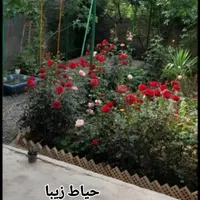 ویلای استخردار شیک جنگلی|اجارهٔ کوتاه‌مدت ویلا و باغ|علی‌آباد کتول, |دیوار