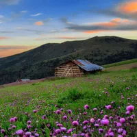 طبیعت گردی