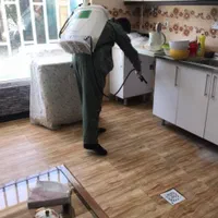 سم پاشی تخصصی و تضمینی