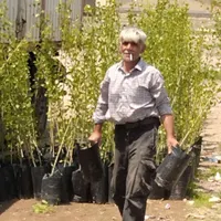 نگهبان برای نهالستان