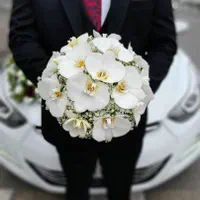 اجاره النترا برای مجالس و تشریفات|خدمات پذیرایی، مراسم|رشت, حسین آباد|دیوار