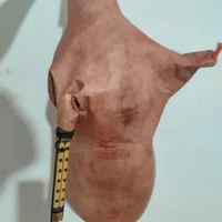 پوست نیهنبان