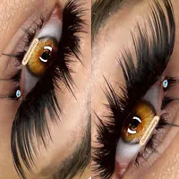 آموزش اکستنشن مژه کاشت مژه موقت لیفت لمینت مدل مژه|خدمات آموزشی|تهران, تهرانپارس غربی|دیوار