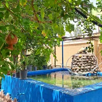 باغ انار وانکور نزدیک ابکرم محلات ودهکده کل