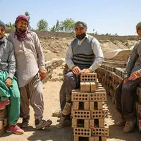 بلوکه سفال آجر سه گل ده گل آژند ( سفارش مستقیم)|مصالح و تجهیزات ساختمان|مشهد, رضاشهر|دیوار