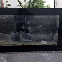 اکواریم دیواری
