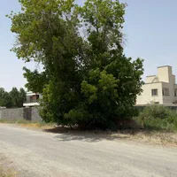 210mزمین باغچه ساخت کرج سهیلیه زعفرانیه کردان|فروش زمین و ملک کلنگی|کرج, شاهین‌ویلا|دیوار
