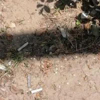 175 متر زمین شهری مسکونی سرمایهگذاری|فروش زمین و ملک کلنگی|صومعهسرا, |دیوار