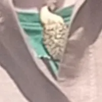 پلاک طلا درمحدوده چهارراه صفویه گم شده