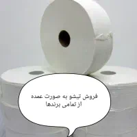تیشو لطیف و سورنا و حریر