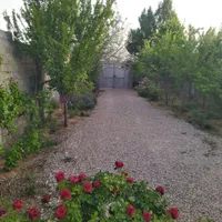 فروش زمین ۲۴۰ متری واقع در شهر تل خسرو کوچه سرو|فروش زمین و ملک کلنگی|یاسوج, |دیوار